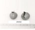 Click for 1 image(s) for this accession. FRUIT